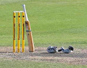 cricket